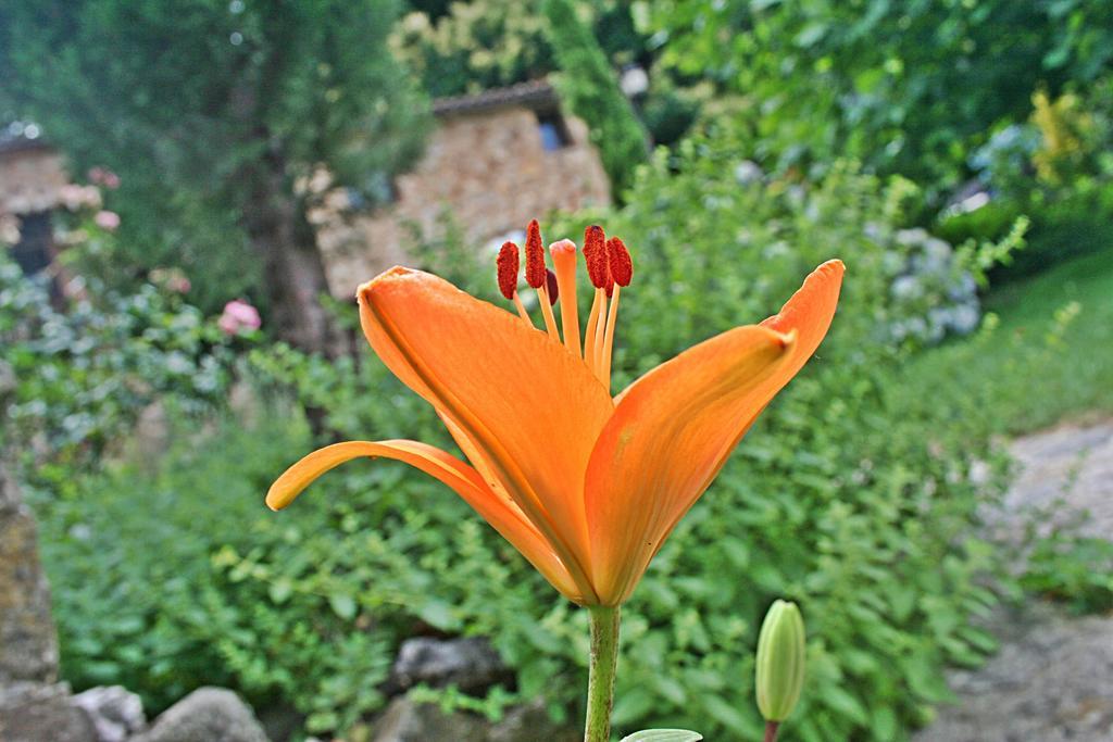 Finca El Carpintero Jerte Kültér fotó